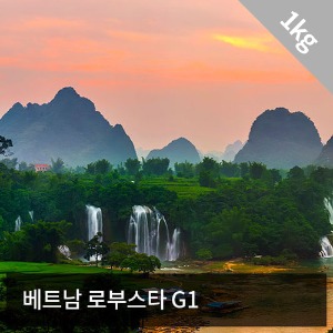 [생두] 베트남 로부스타(Wet-poilsh) 1Kg