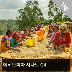 [생두] 에티오피아 시다모 G4(Natural) 1kg